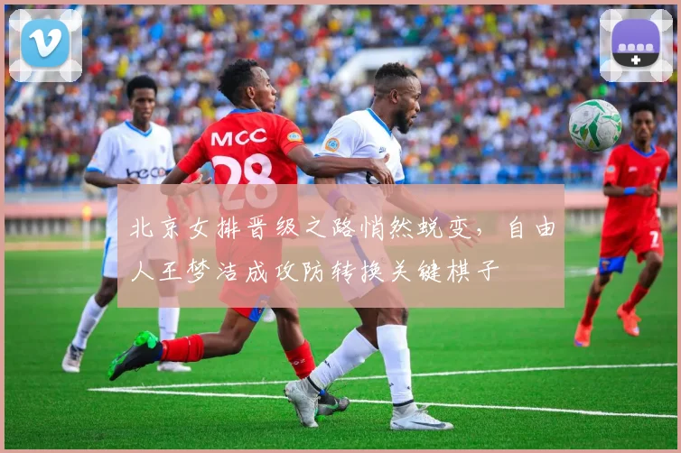 北京女排晋级之路悄然蜕变，自由人王梦洁成攻防转换关键棋子